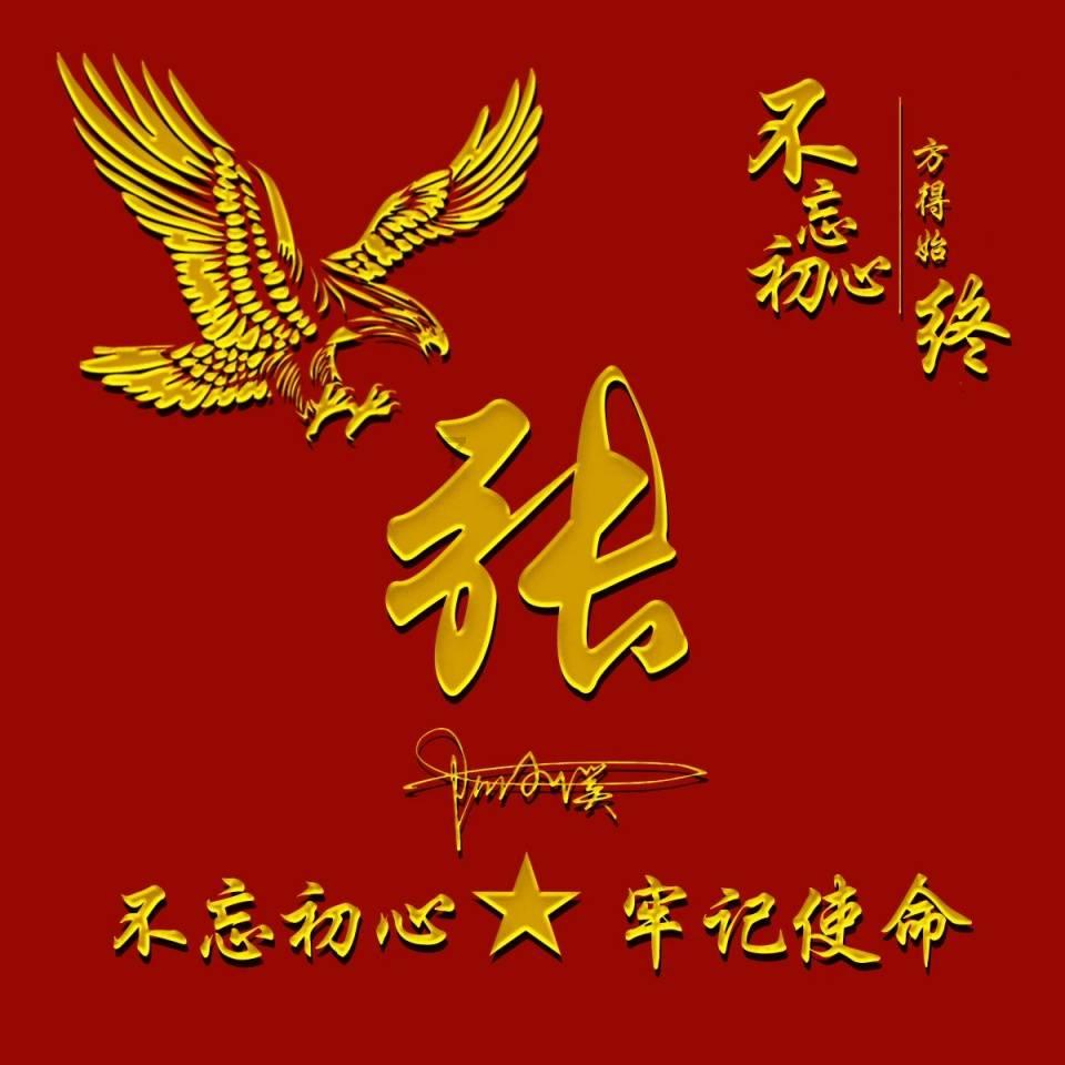金刚鹦鹉逃生