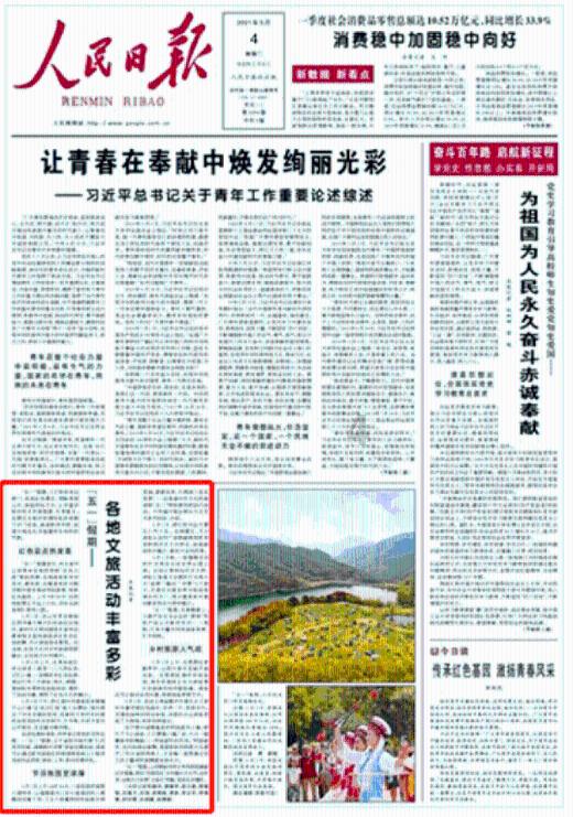 天鹅森林逃脱