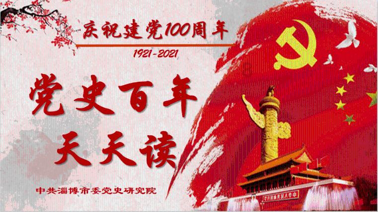 忍者鲨鱼