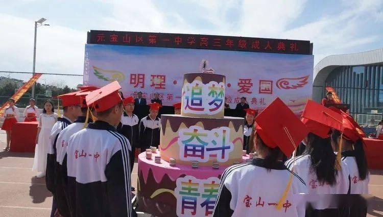 Teflon AF2400脱气管:一氧化碳和氢气高压气液反应的流动化学研究