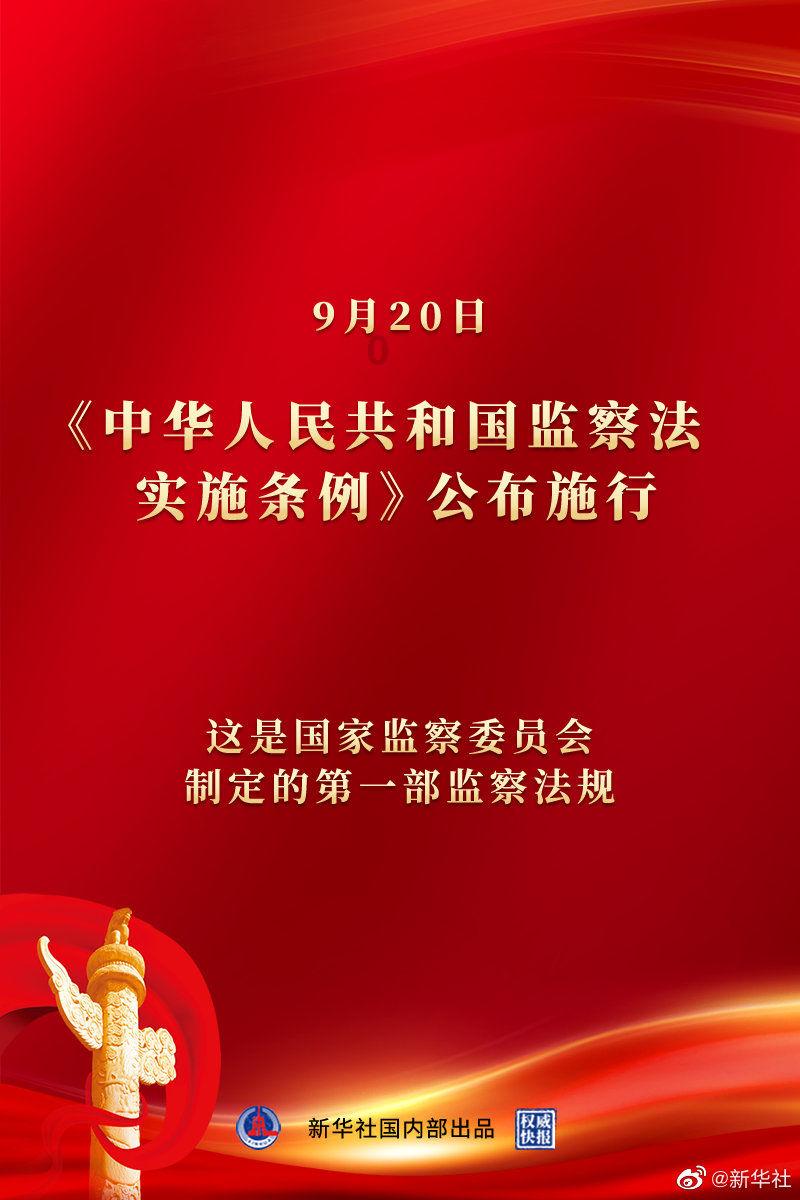 小猫钓鱼正版下载中文版