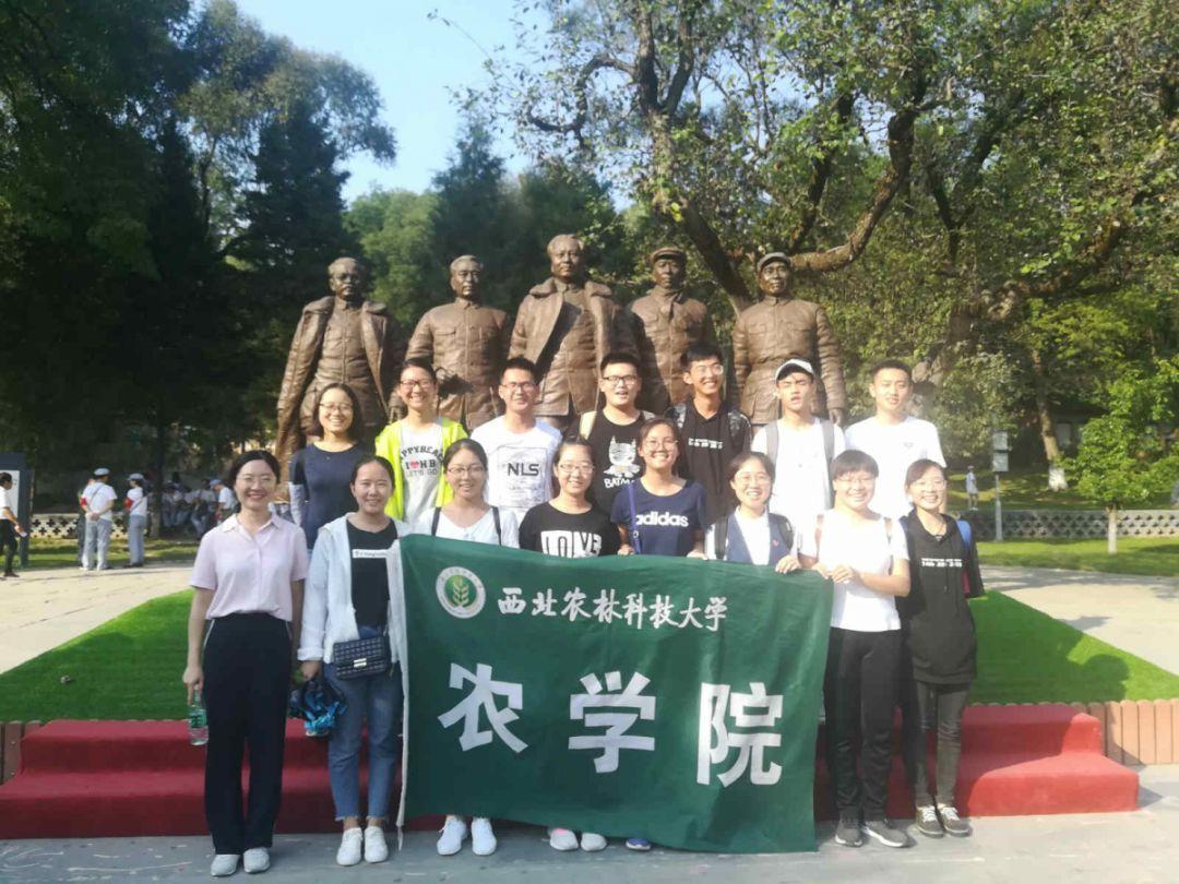 瑞虎72018款齿轮油要多少升游戏画面
