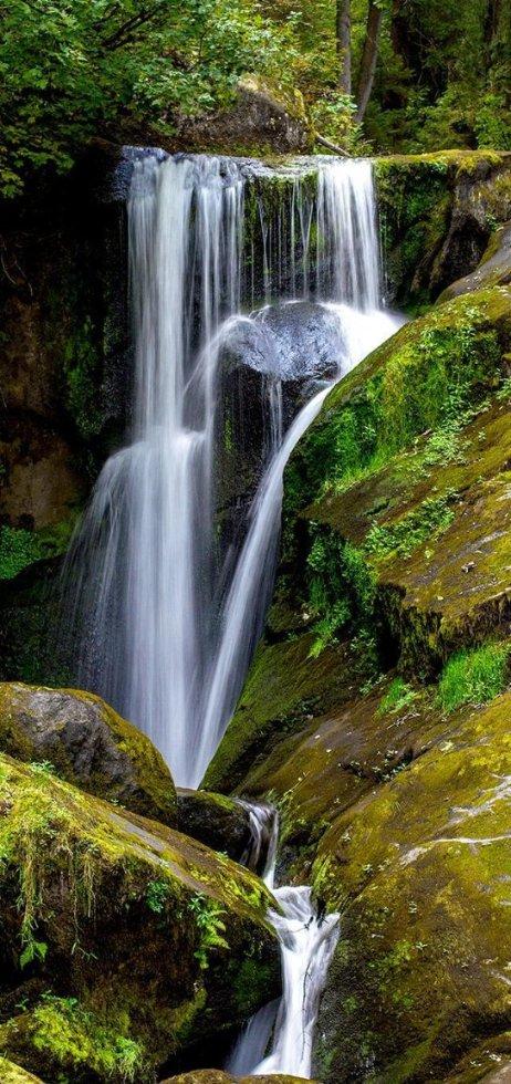 逃离水虎鱼湖