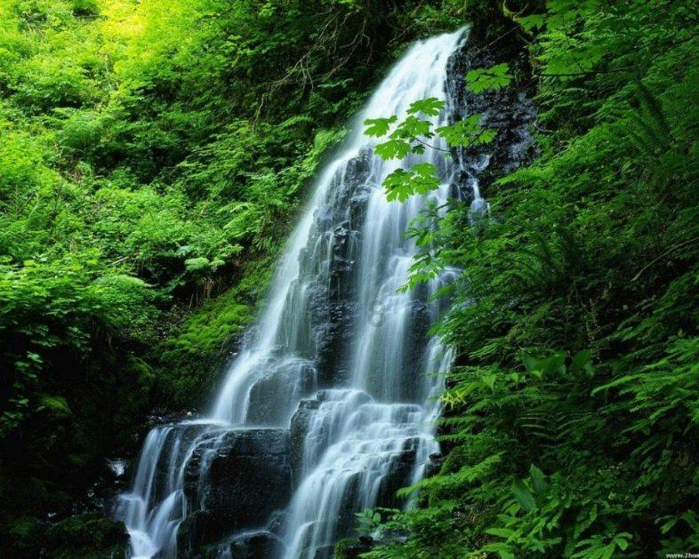 漂亮公主填色