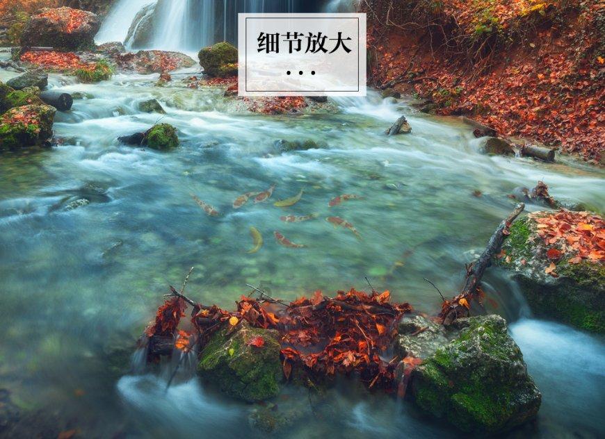 程晓玥回澳洲婆家度假,9个月胖豆近状曝光,与父亲首次体验游泳