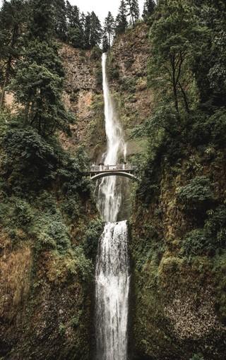 遭遇低谷期，四届非洲杯冠军加纳连续两届小组赛出局