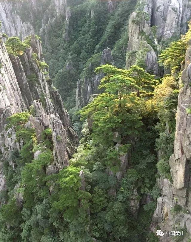 邦德咖啡CNY从“轻”出发,打响龙年第一战