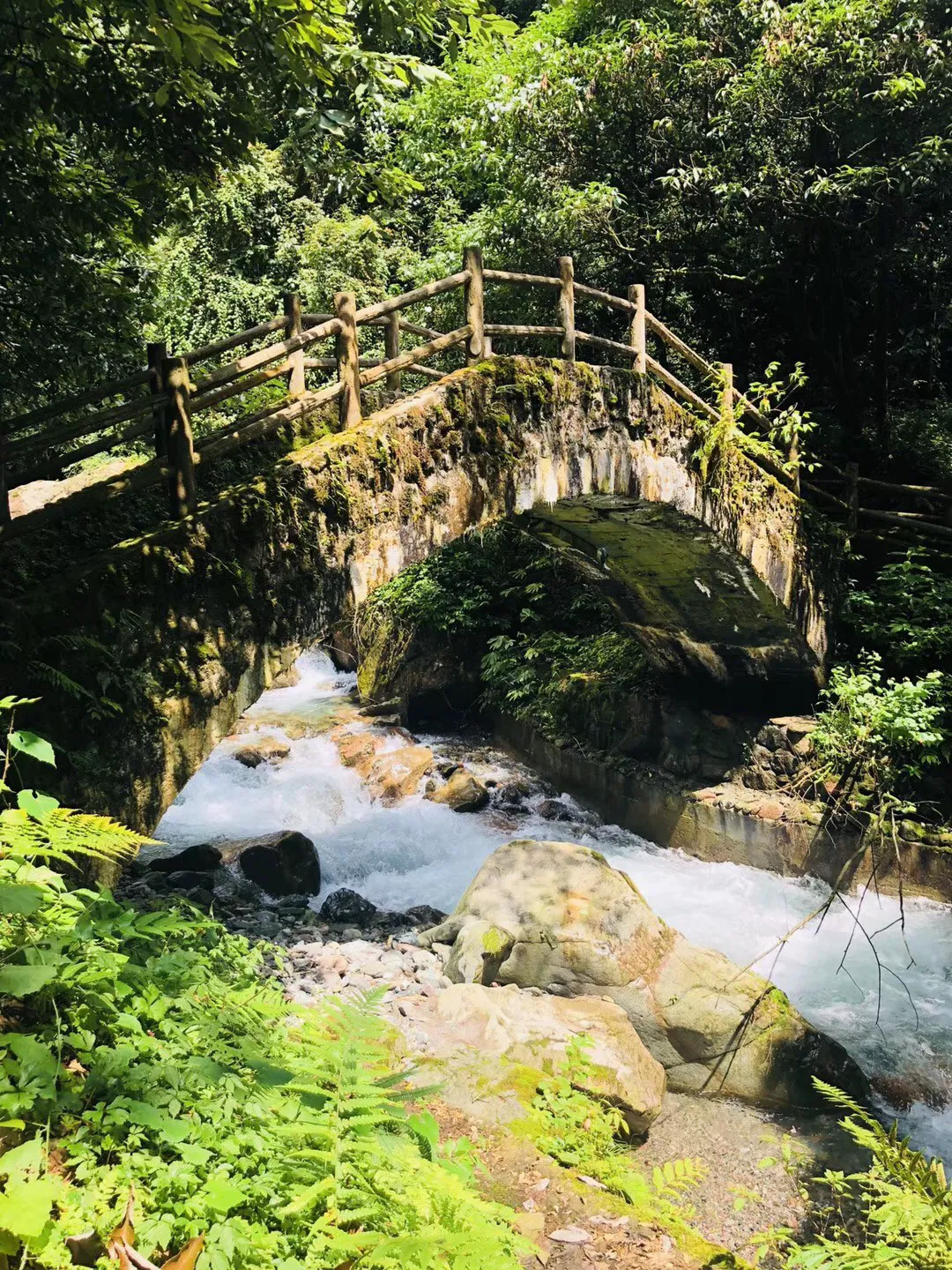 我是孙二谋
