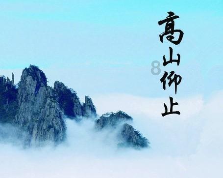 红木国标之外,备受瞩目的六种名贵木材,材质究竟怎么样?