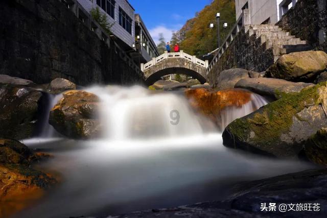 美人鱼的聚会