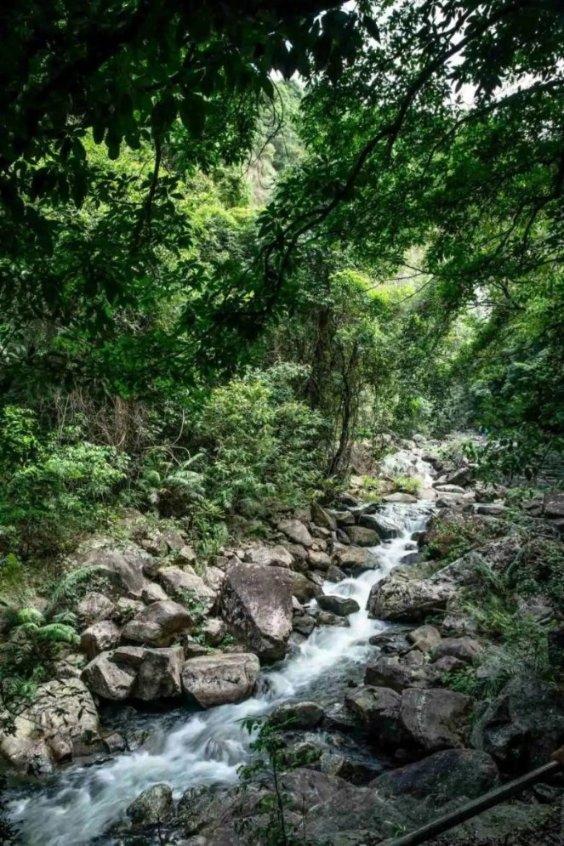 林志颖手臂植入钢板，脑部受伤至少一年内几乎无行动能力，你怎么看？游戏画面