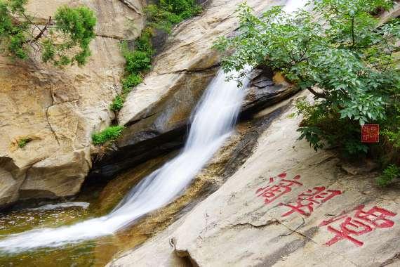 植物大战僵尸3