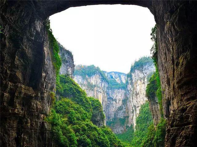 昭阳区南苑街私自收取停车费问题；永善县水竹乡蓝莓种植项目分红问题；镇雄县杉树乡益明竹业农民专业合作社分红问题~有回复