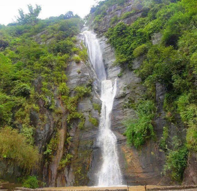 喜迎春节 欢度佳节氛围浓