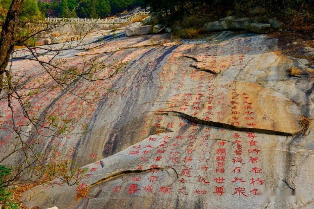 海王星VS僵尸军团