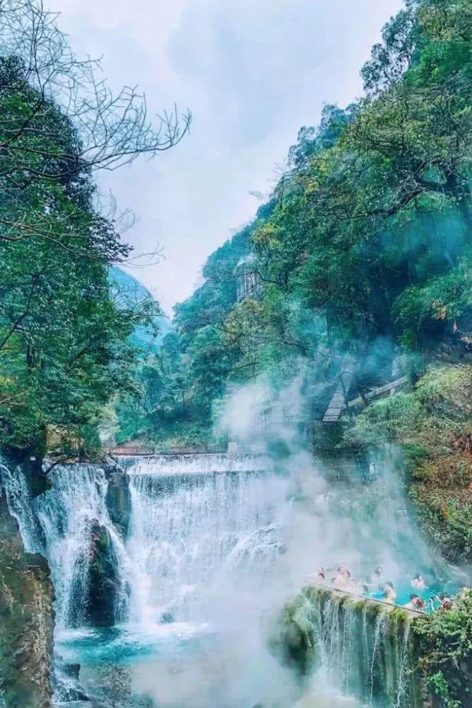 拯救可爱小鳄鱼