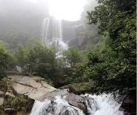 霍比特人救援
