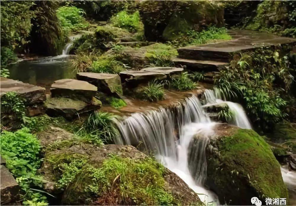沪江开心词场