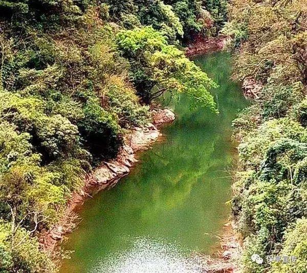 邻居的需求
