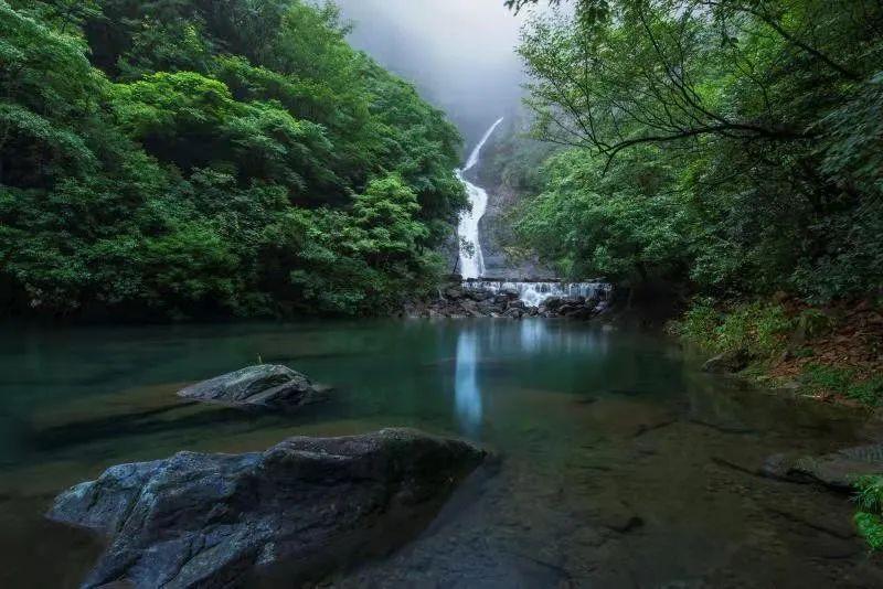 鸽子天麻汤怎么炖最营养游戏画面