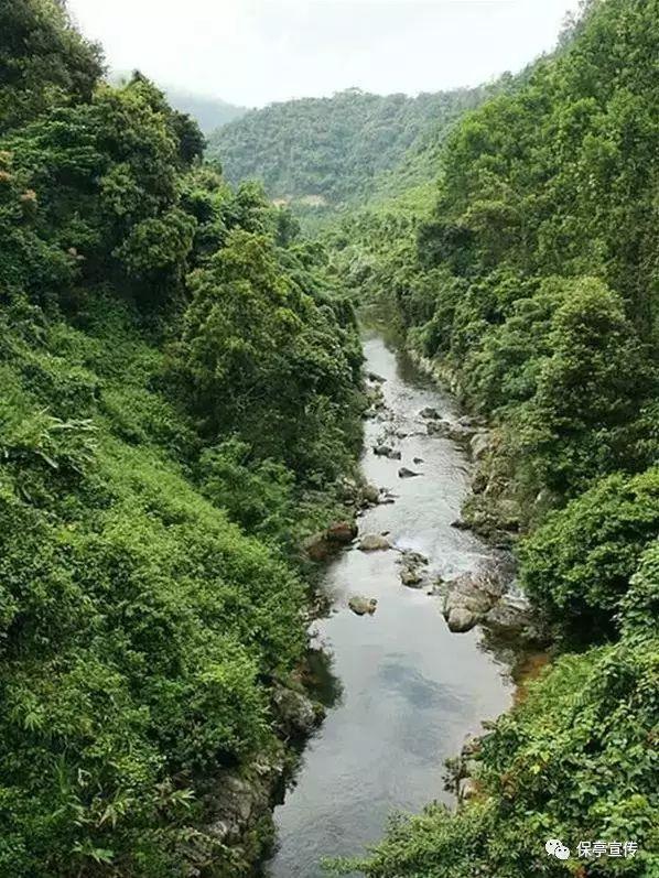 克服拖延症的措施有哪些游戏画面