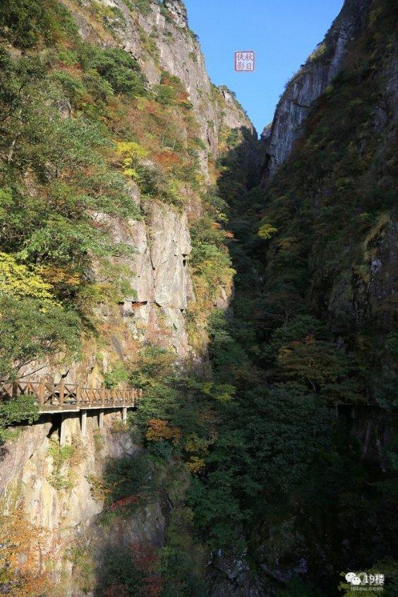 全民剧本大师内置菜单