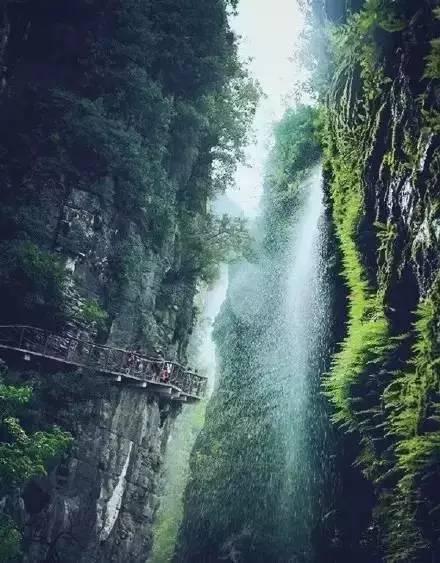 中餐厅之小凯厨神