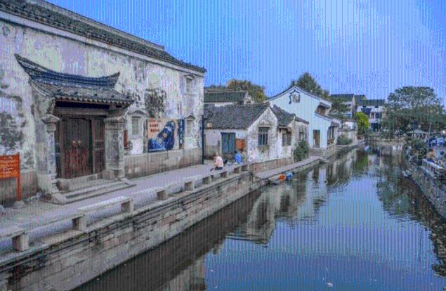 拯救昆虫群