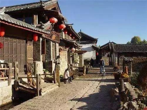 时尚POLO衫