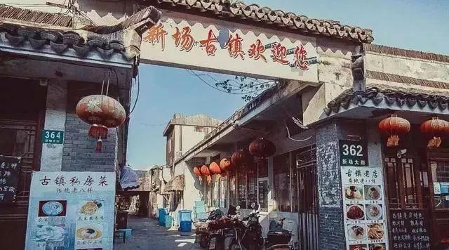 救援可爱的洋葱