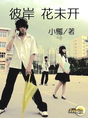 逃离野猫森林
