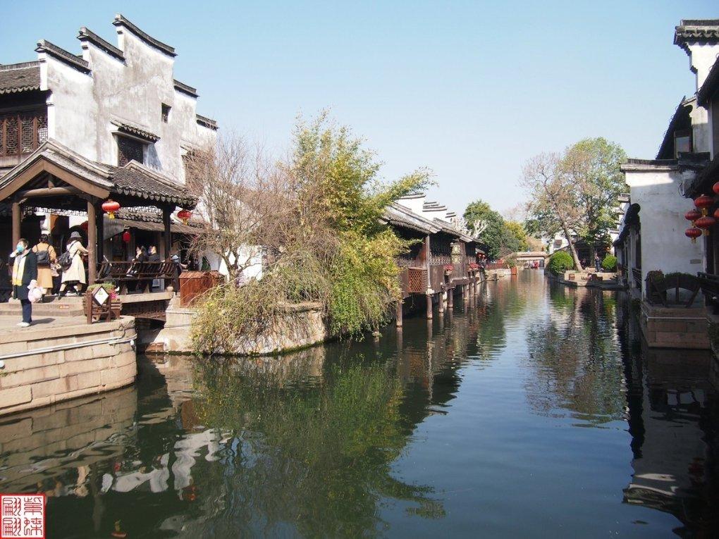 小僵尸射飞鸟