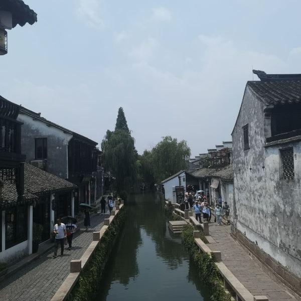 逃离变色龙森林