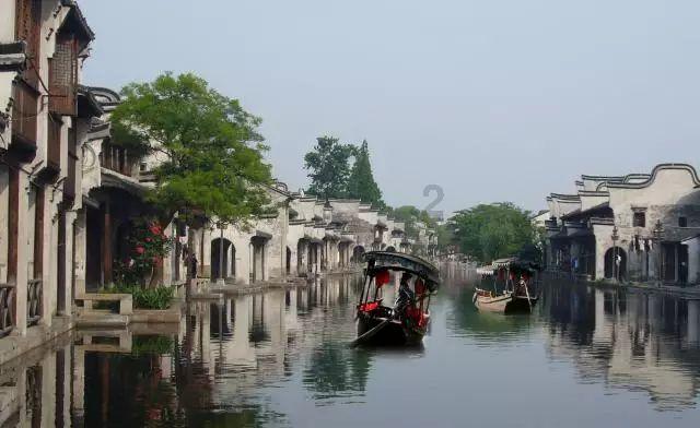 救援老画家