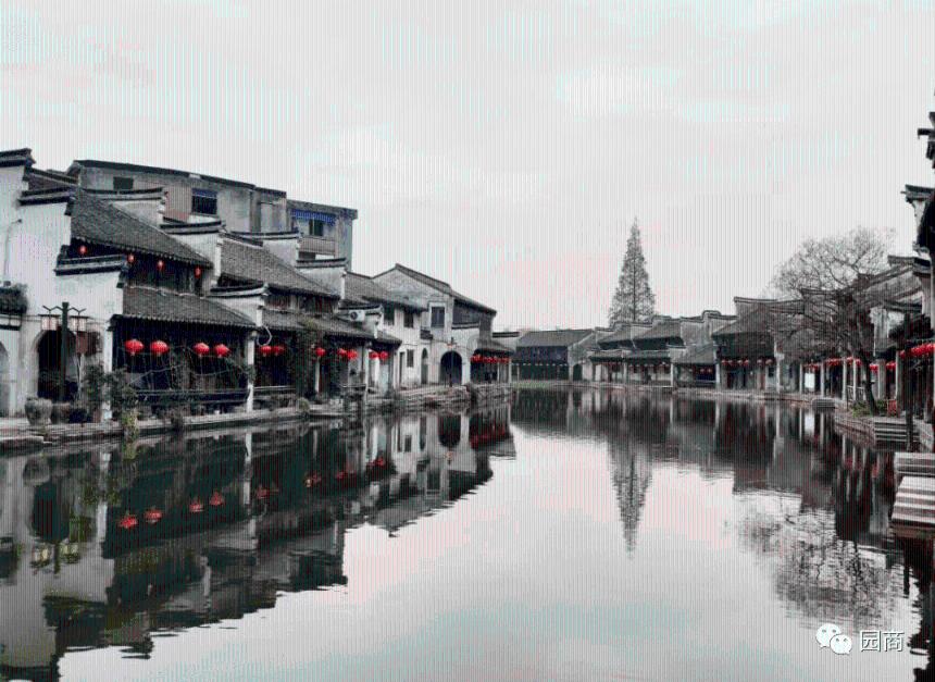 为什么现在的人都不想结婚？游戏画面