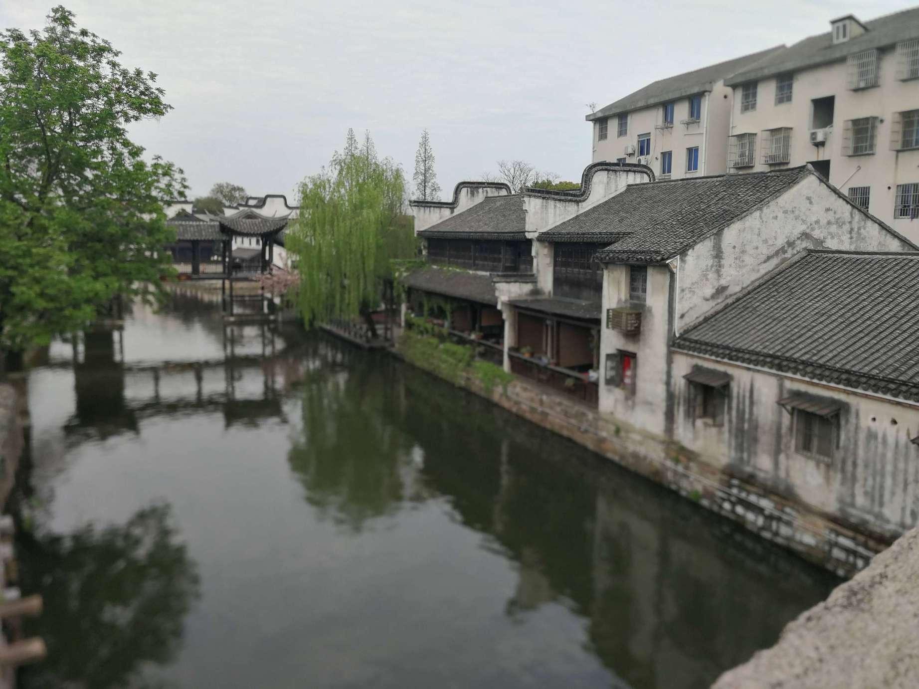 家常小公鸡怎么做好吃游戏画面