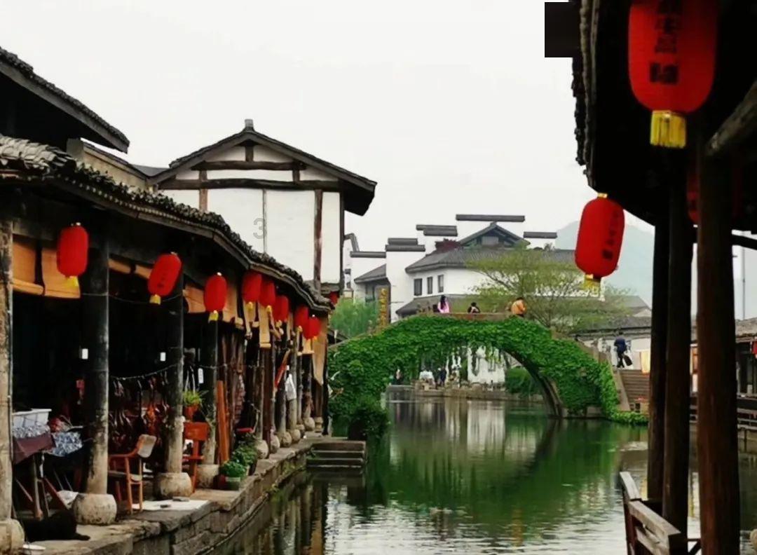 升空的愤怒奶奶
