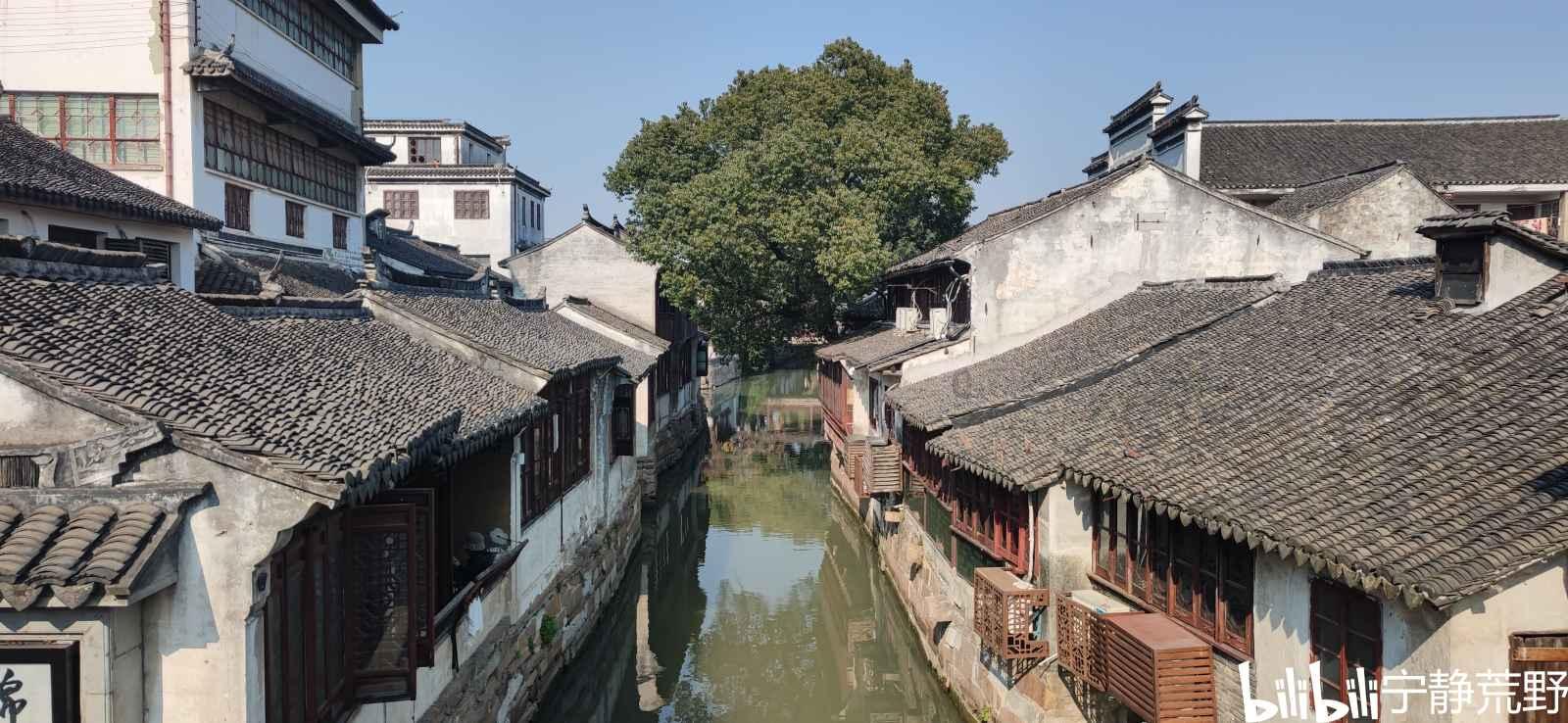 口袋侏罗纪