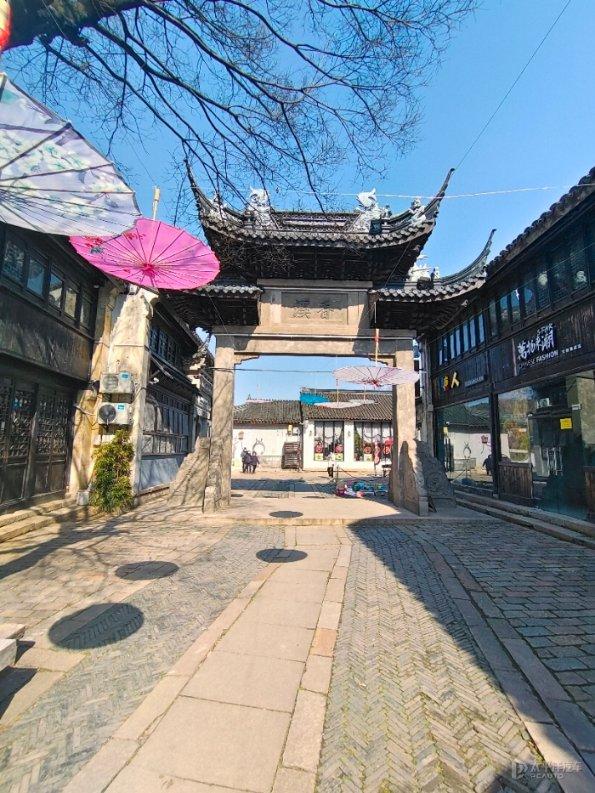 逃离野鸡森林