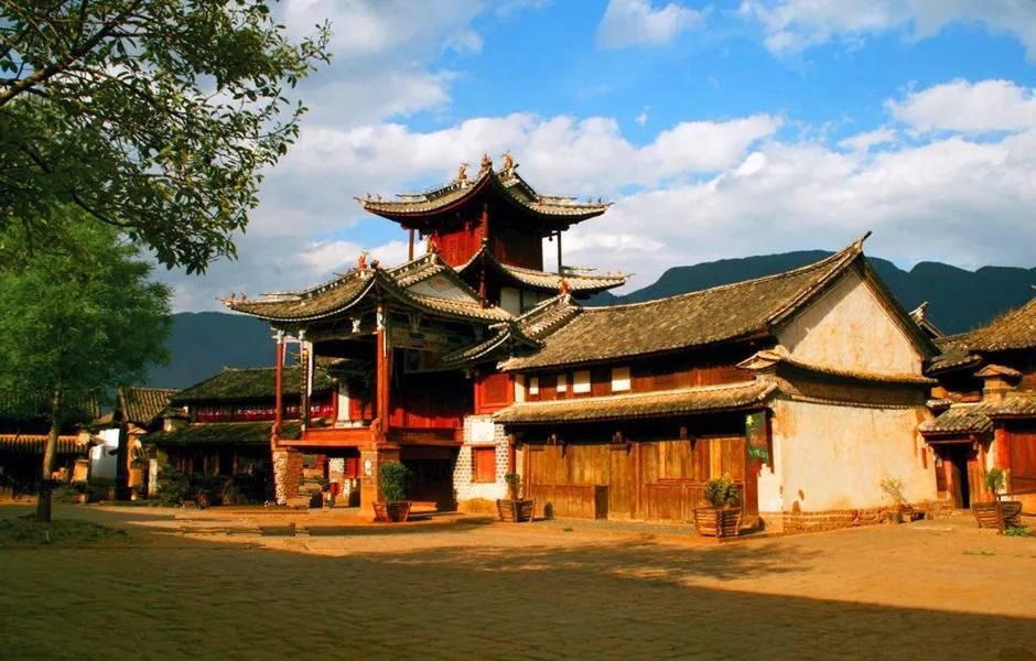 五彩鹦鹉救援