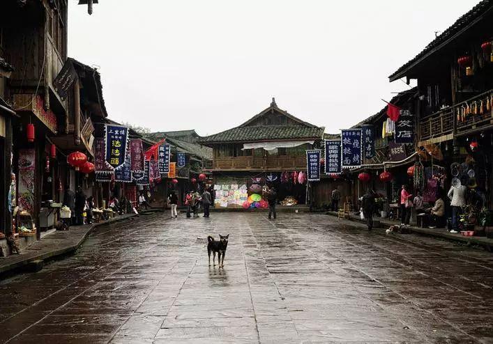 美股的“巨头”时代 从五朵“金花”到七大“巨头”