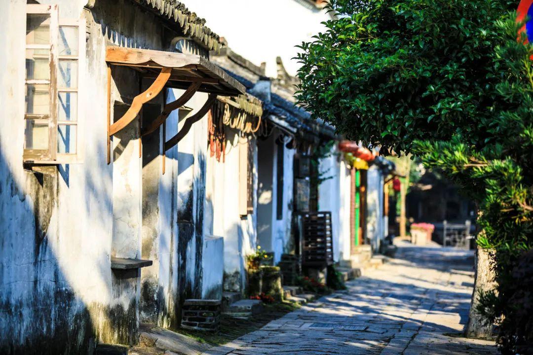斑鸠霸占大学生晾晒的衣服搭窝，为了回收衣物，大学生亲自改造鸟窝