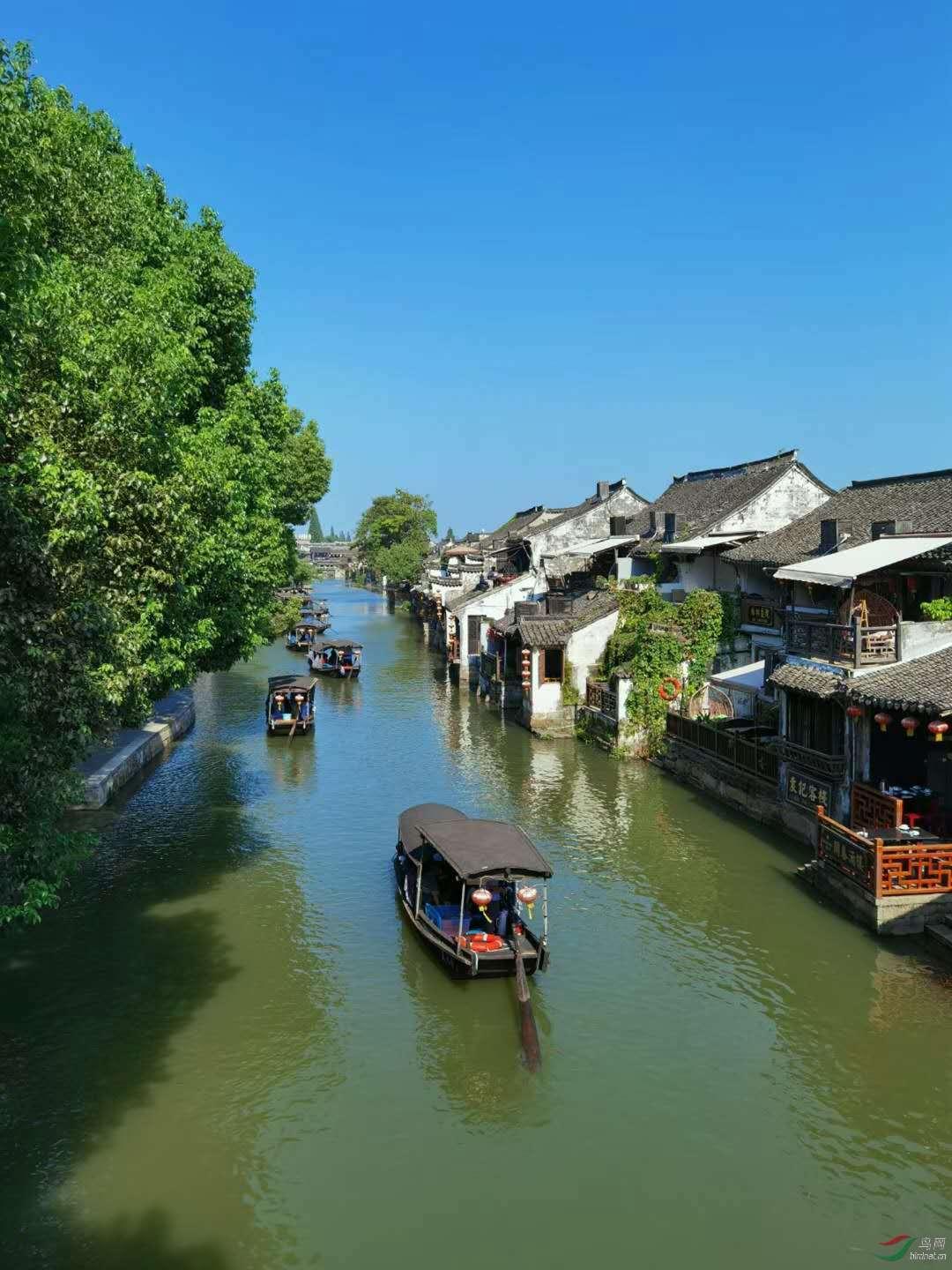 逃离痛苦的房子2