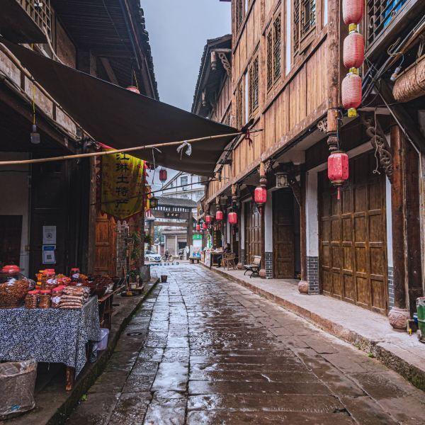虫虫助手下载