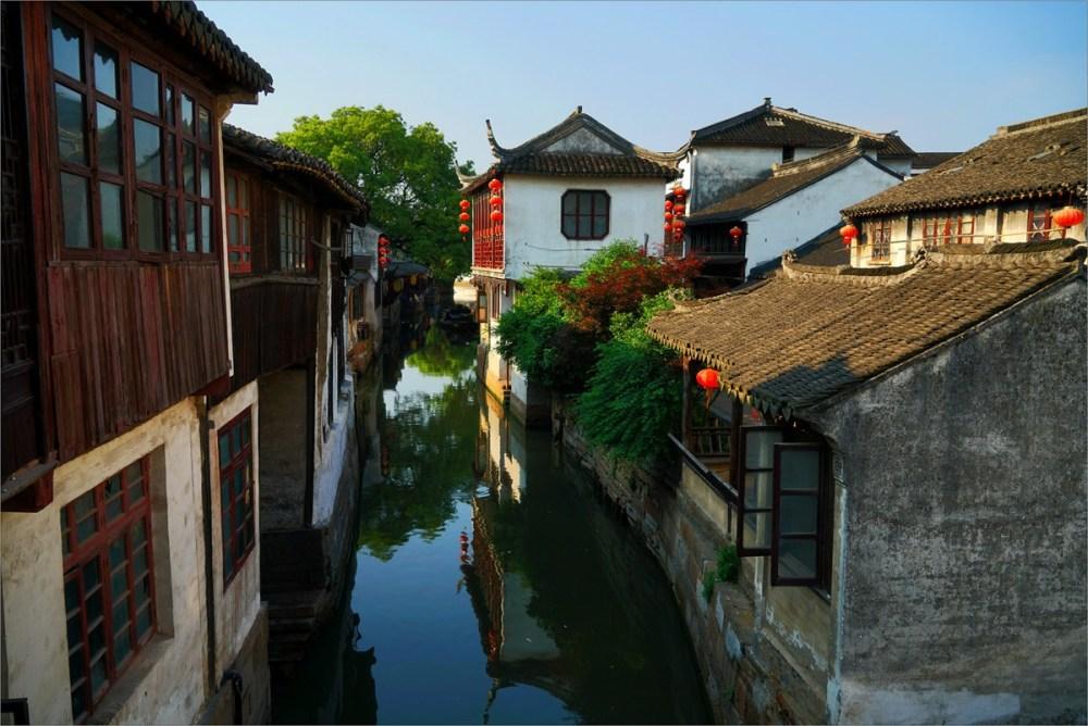 呆萌动物园