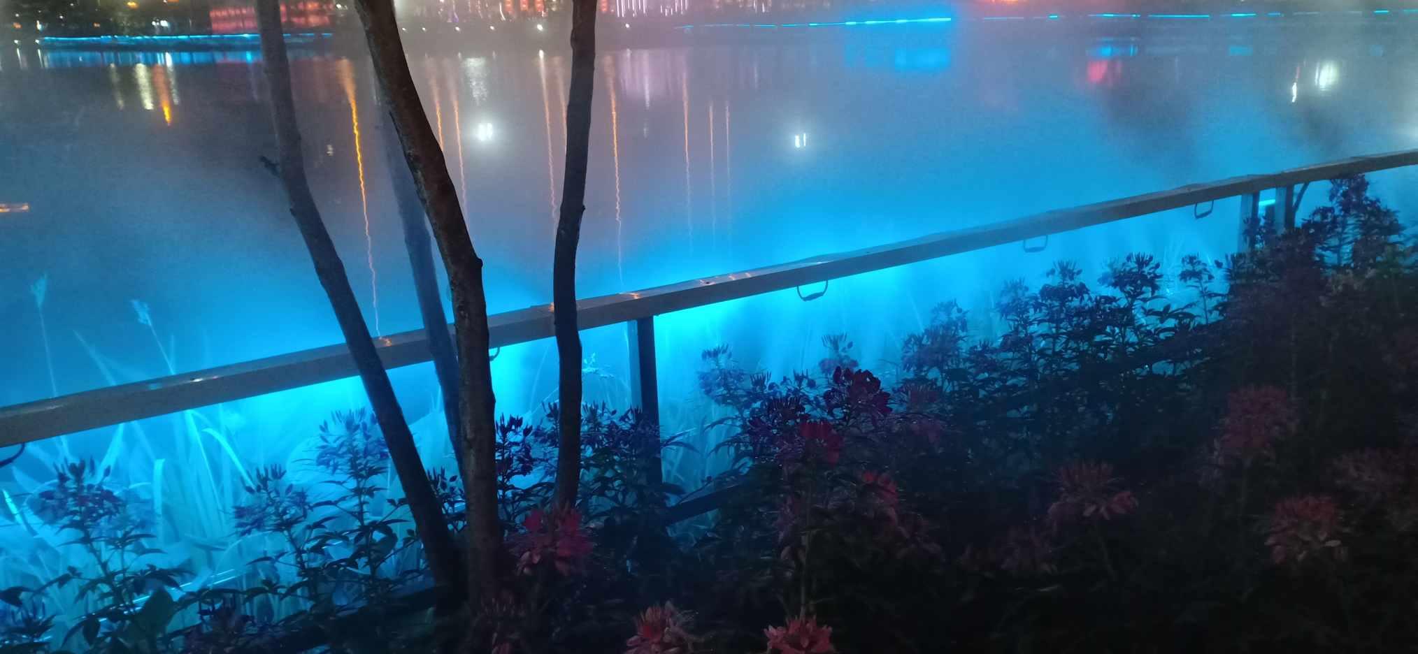 勇闯精灵大陆4