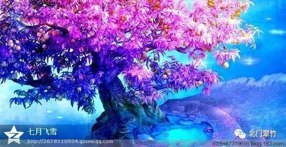 燃烧吧大脑免广告最新版